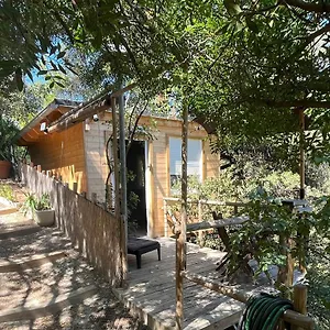 Dans Les Arbres Chalet